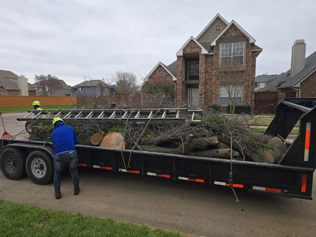 Expert Lot Clearing with proper safety equipment in Tekamah